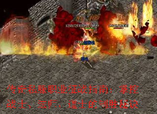 ����˽��ְҵ��սָ�ϣ��ƿ�սʿ����ʦ����ʿ����ʤ�ؾ�