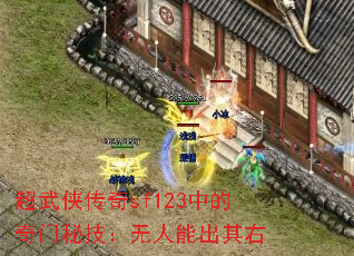 ����������sf123�е������ؼ��������ܳ�����