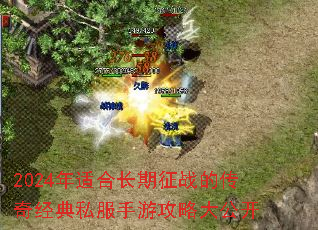 2024���ʺϳ�����ս�Ĵ��澭��˽�����ι��Դ󹫿�