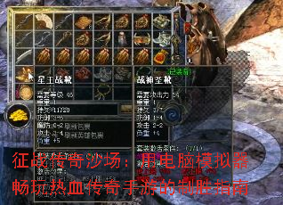 ��ս����ɳ�����õ���ģ����������Ѫ�������ε���ʤָ��