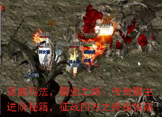 ��¹�귨����ҵ֮·��������������ؼ�����ս�ķ�֮�ռ�ָ��