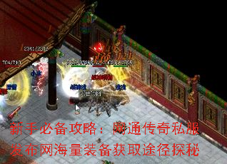 ���ֱر����ԣ���ͨ����˽������������װ����ȡ;��̽��