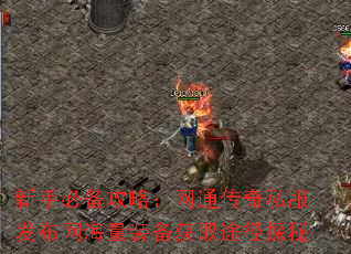 ���ֱر����ԣ���ͨ����˽������������װ����ȡ;��̽��