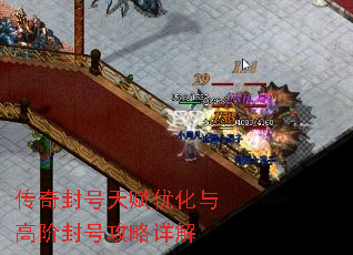 �������츳�Ż���߽׷�Ź������