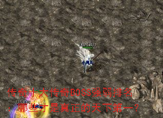 ����ʮ����BOSSǿ����������Щ�������������µ�һ��