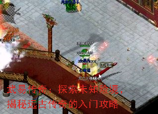 ���״��棺̽��δ֪�վ�������Զ�Ŵ�������Ź���