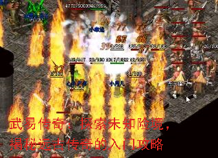���״��棺̽��δ֪�վ�������Զ�Ŵ�������Ź���