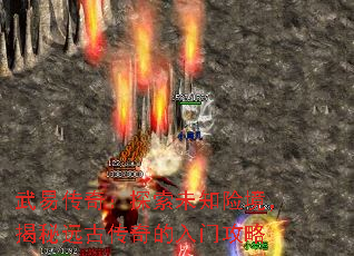 ���״��棺̽��δ֪�վ�������Զ�Ŵ�������Ź���