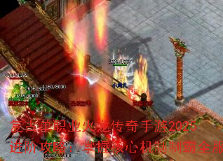 ���ŵ�ְҵ������������2025���׹��ԣ����պ��Ļ����ư�ȫ��