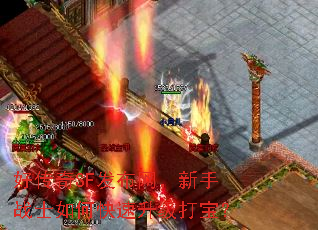 �ô���SF������������սʿ��ο��������򱦣�