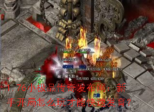 1.76С��Ʒ���淢���������ֿ�����ô����ܿ��ٷ�����