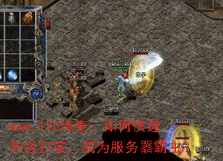 www.176���棺��ο��������򱦣���Ϊ������������