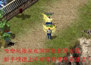 ����˽��������SF���¿�ȫ�������ֿ������ֹ�������Щ�ؼ��㣿