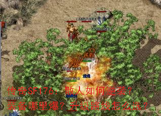 ����SF176��ɢ�������Ϯ��װ�����ﱬ������·����ôѡ��