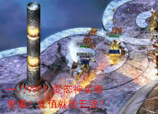 һ��999����̬��װ���ﱬ����ֵ�����޵У�