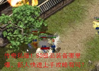 ����˽��1.80��Ʒװ�����ﱬ�����˿������ֹ�������