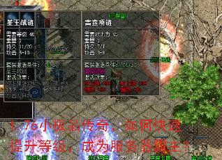 1.76С��Ʒ���棬��ο��������ȼ�����Ϊ������������