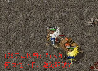 176���Ŵ��棺������ο������֣�����ȿӣ�