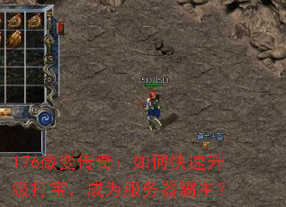 176΢�䴫�棺��ο��������򱦣���Ϊ������������