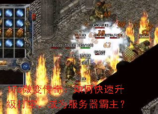 176΢�䴫�棺��ο��������򱦣���Ϊ������������