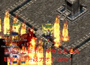 �ֵ��ǣ������洫�����ôѡְҵ������ս���Ų��ȿӣ�