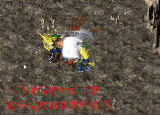 1.76��Ʒ�������ֿ���������������Щ����