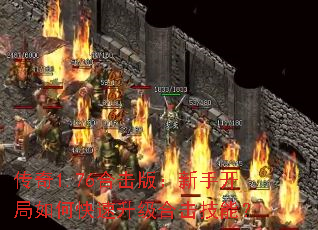 ����1.76�ϻ��棺���ֿ�����ο��������ϻ����ܣ�