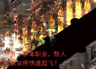 �տ�һ�뵥ְҵ��ɢ�������ο�����ɣ�