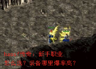 haosf���棺����ְҵ��ôѡ��װ�����ﱬ�ʸߣ�