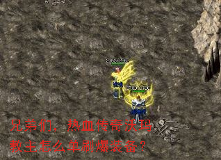 �ֵ��ǣ���Ѫ�������������ô��ˢ��װ����