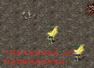 �����¿����淢������սʿְҵ��ο��������ȼ���