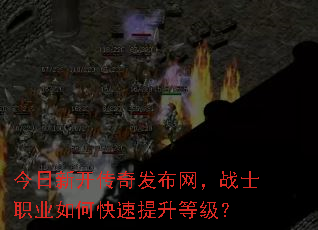 �����¿����淢������սʿְҵ��ο��������ȼ���