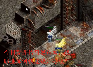 �����¿����淢������սʿְҵ��ο��������ȼ���