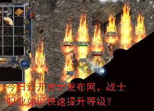 �����¿����淢������սʿְҵ��ο��������ȼ���