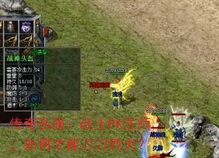 ����˽����սʿPK��ʦ����β��ܵ����һ�