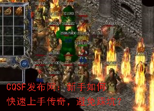 CQSF��������������ο������ִ��棬����ȿӣ�