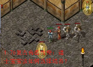 1.76���źϻ����棺��ʿ���������ѡ��������