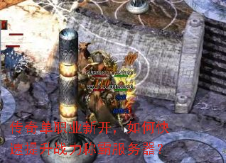 ���浥ְҵ�¿�����ο�������ս���ưԷ�������