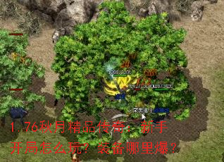 1.76���¾�Ʒ���棺���ֿ�����ô�棿װ�����ﱬ��