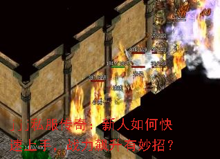 jjj˽�����棺������ο������֣�ս����������У�