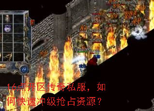 16�㿪������˽������ο��ٳ弶��ռ��Դ��