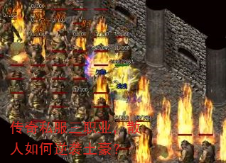 ����˽����ְҵ��ɢ�������Ϯ������