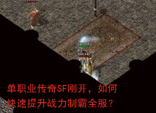 ��ְҵ����SF�տ�����ο�������ս���ư�ȫ����