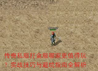 ����˽�������ļҸ�ֵ���棿ʵս������ܿ�ָ��ȫ����
