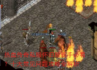 ��Ѫ����˽�����ɷ����ֱؿ���ʮ�󳣼����⹥��ȫ����