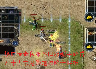 ��Ѫ����˽�����ɷ����ֱؿ���ʮ�󳣼����⹥��ȫ����