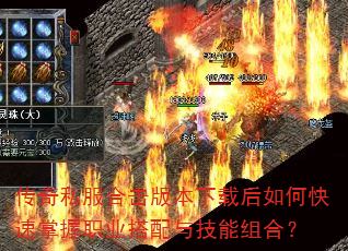 ����˽���ϻ��汾���غ���ο�������ְҵ�����뼼����ϣ�