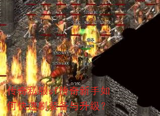 ����˽��sf����������ο���ˢװ����������