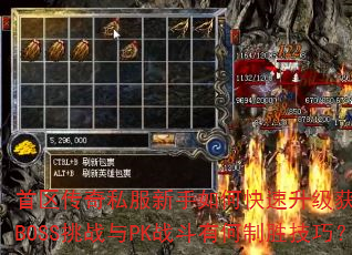 ��������˽��������ο���������ȡװ����BOSS��ս��PKս���к���ʤ���ɣ�