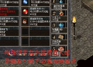 ����SFƽ̨�й�ģ�������ļң����ֱؿ����Խ���